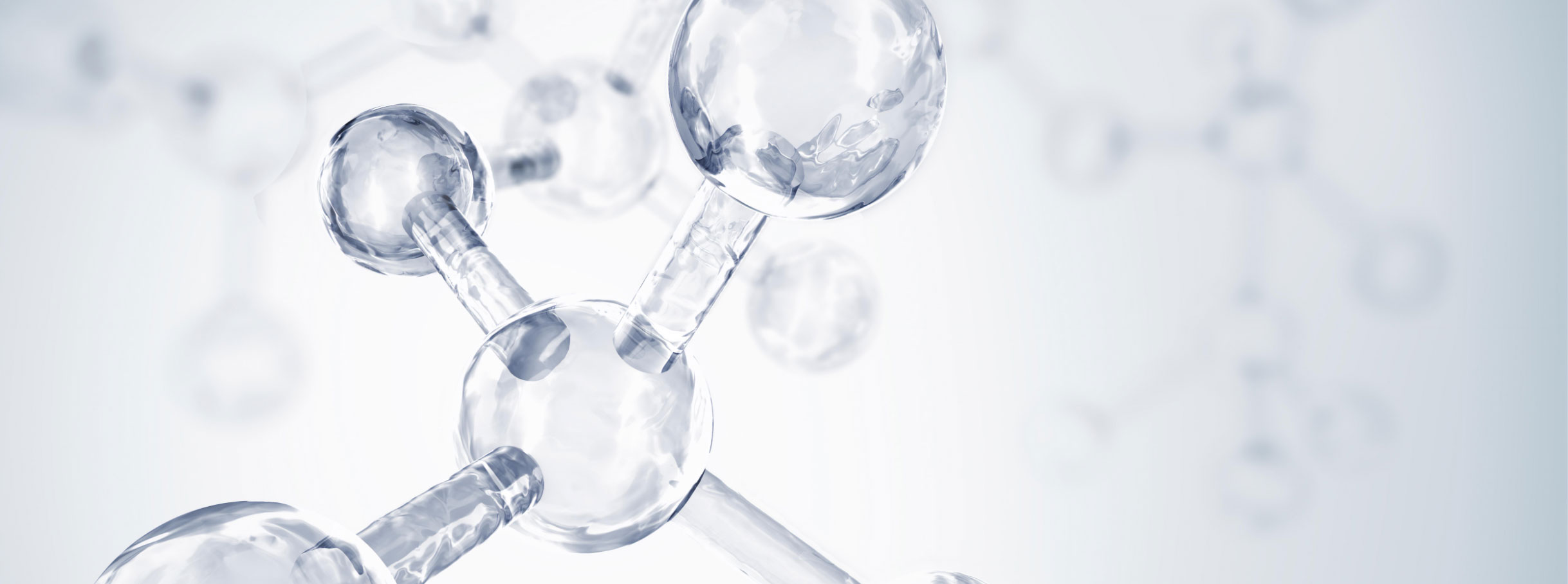 Ciencia Bioever
