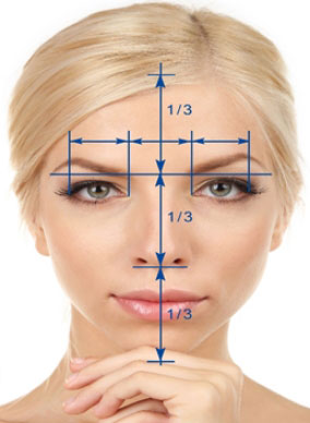 Rostro de mujer con líneas que marcan sus proporciones en tercios