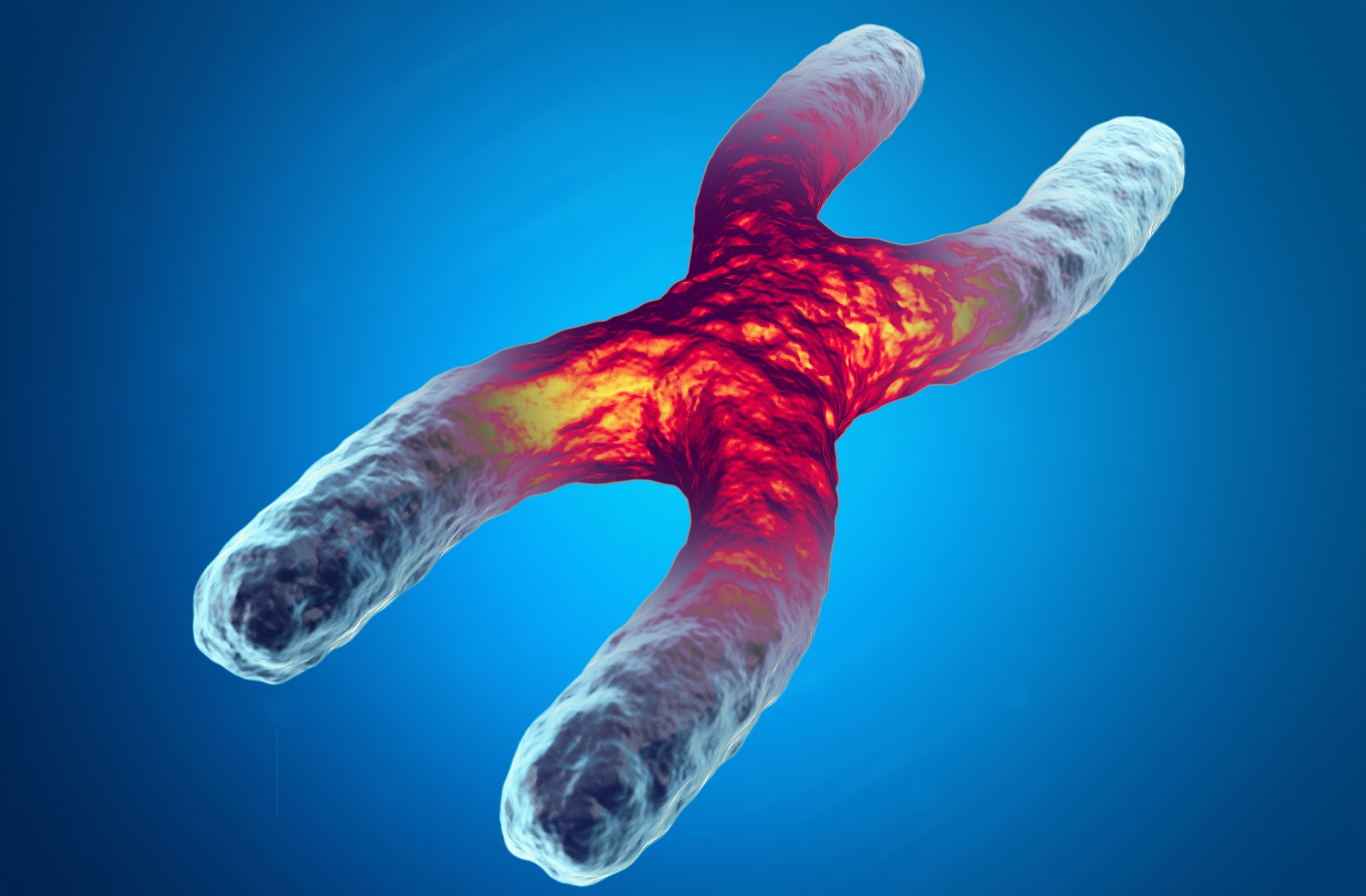 Qué es la edad biológica y cómo se puede medir